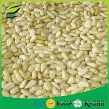 Wholesale pine Nut kernels for export